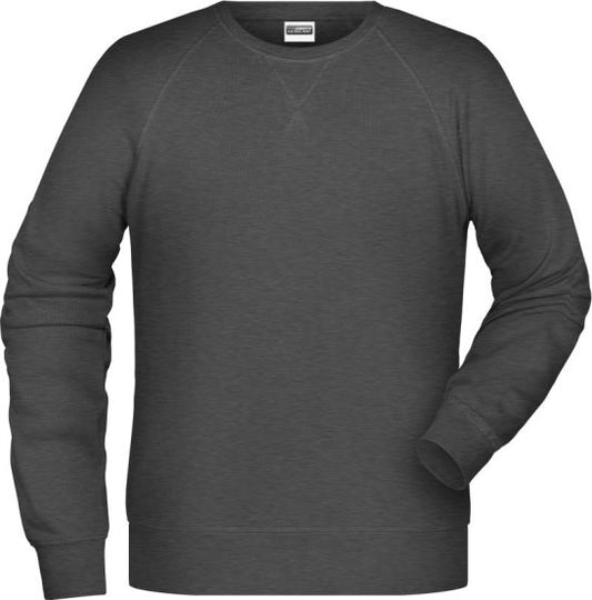Moški ekološki raglan pulover James & Nicholson JN 8022