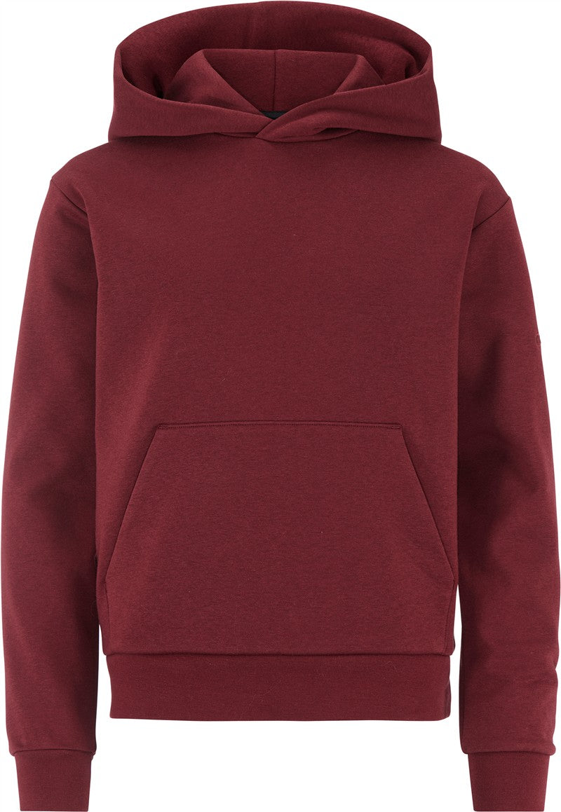 Otroški pulover s kapuco Craft Corporate Community 2.0 Hoodie Jr - glavna slika