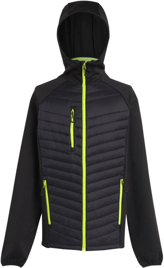 Hibridna jakna Regatta Navigate TRA549