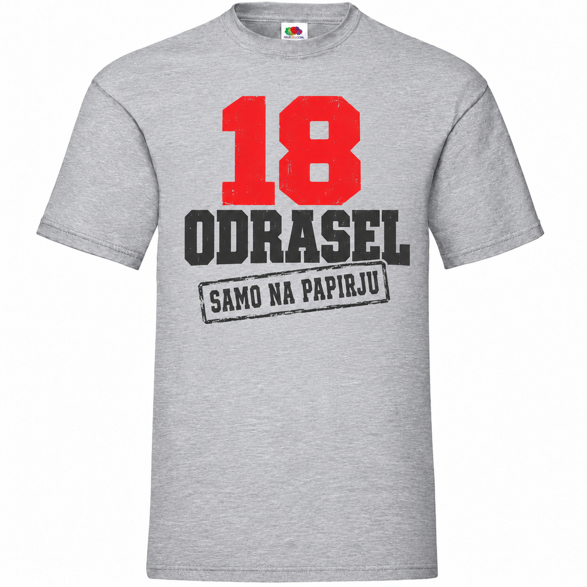 Moška majica za 18 let Odrasel samo na papirju, siva, Fruit of the Loom