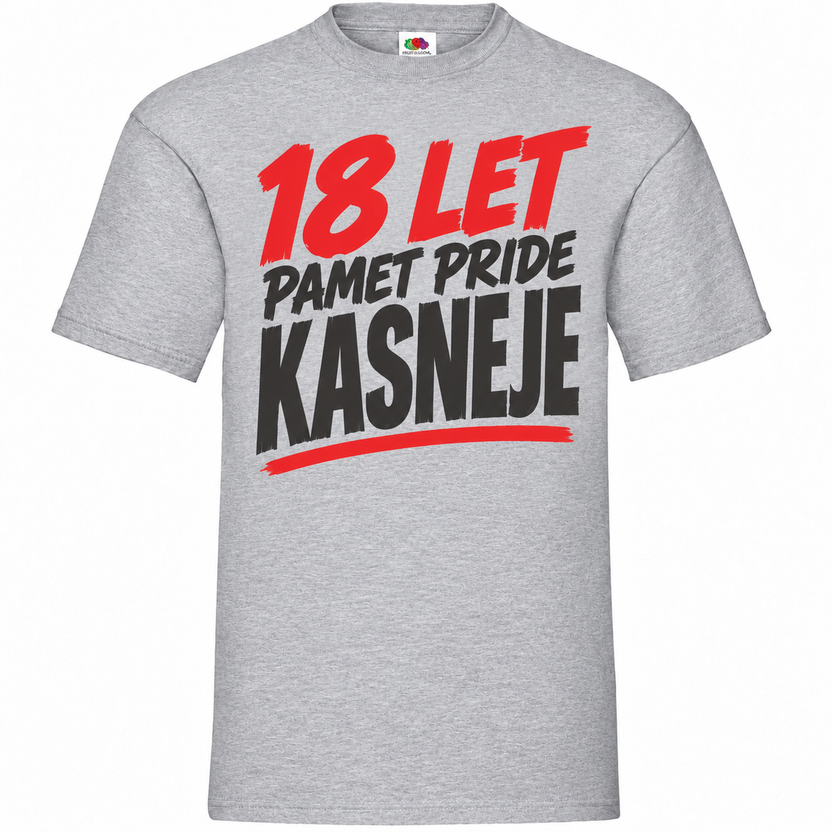 Moška majica za 18 let Pamet pride kasneje, siva, Fruit of the Loom
