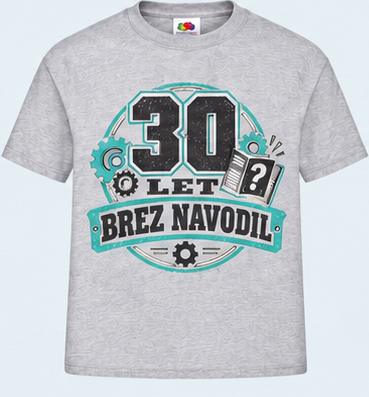 Moška majica za 30 let Brez navodil, Fruit of the Loom, Siva