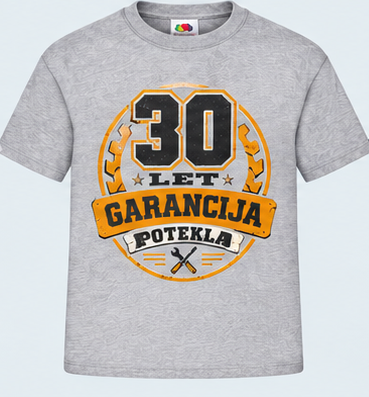 Moška majica za 30 let Garancija potekla, Fruit of the Loom, Siva